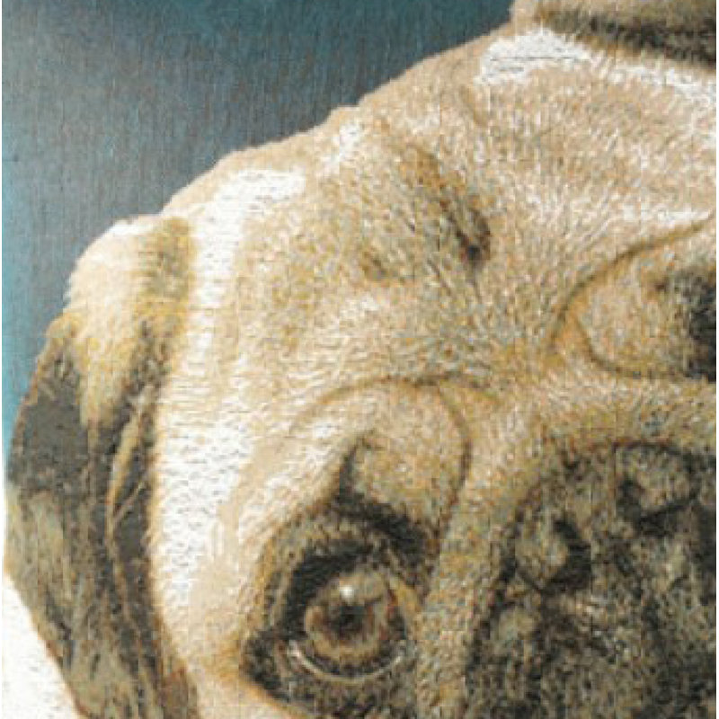 Pug Face Blue Cotton Euro Cushion Cover