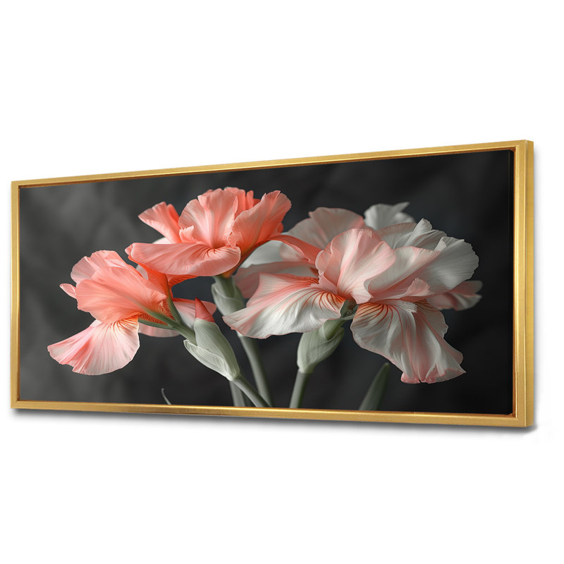 Rose, noir, jardin, glamour, iris - iris, art mural, Cadre flottant doré, H 28 po x l 60 po x P 1,5 po