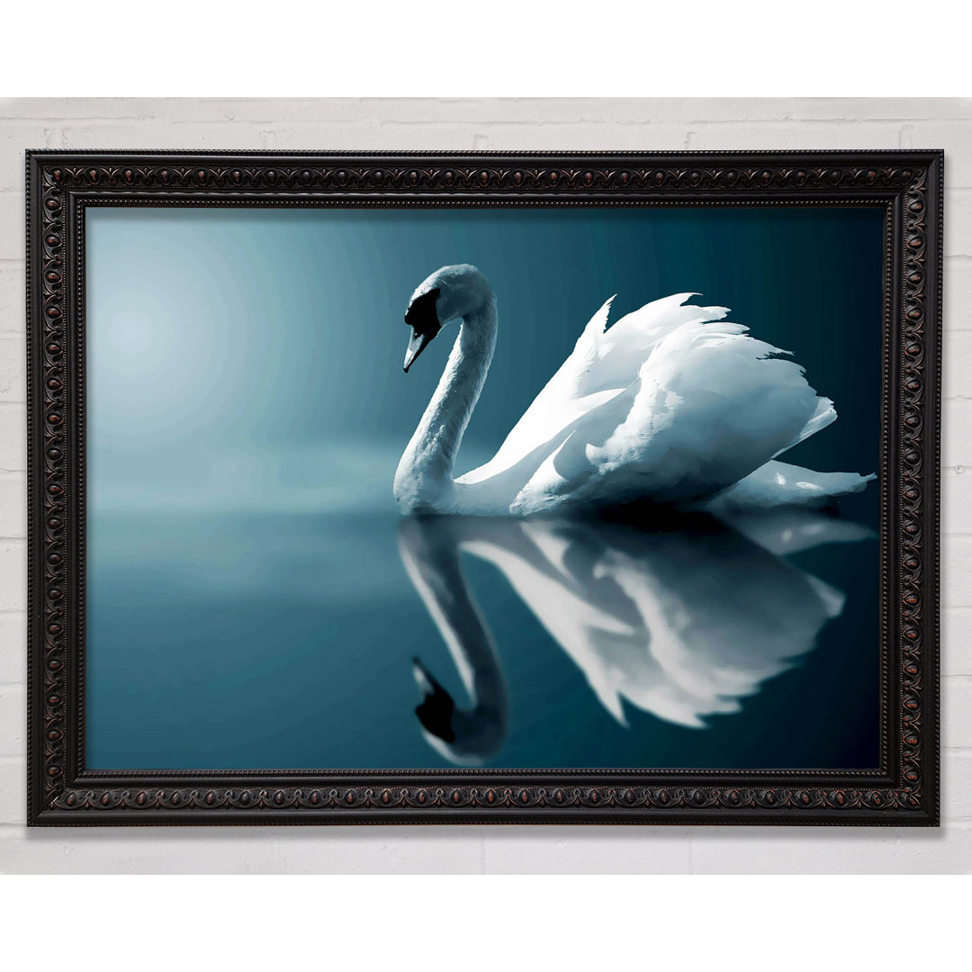 Gerahmtes Wandbild Reflections Of A Swan