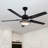 Kyton 52'' Ceiling Fan with LED Lights