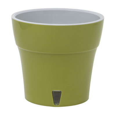 Lilabai Pot Planter