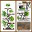 Support pour plante d'angle à 5 niveaux avec lumières de culture, tablette à spectre complet pour plantes d'intérieur, présentoir courbé