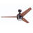 Eamon 52'' Ceiling Fan with LED Lights and Remote Control-1409839407