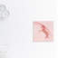 Paillettes licorne 2-48187389-48187387