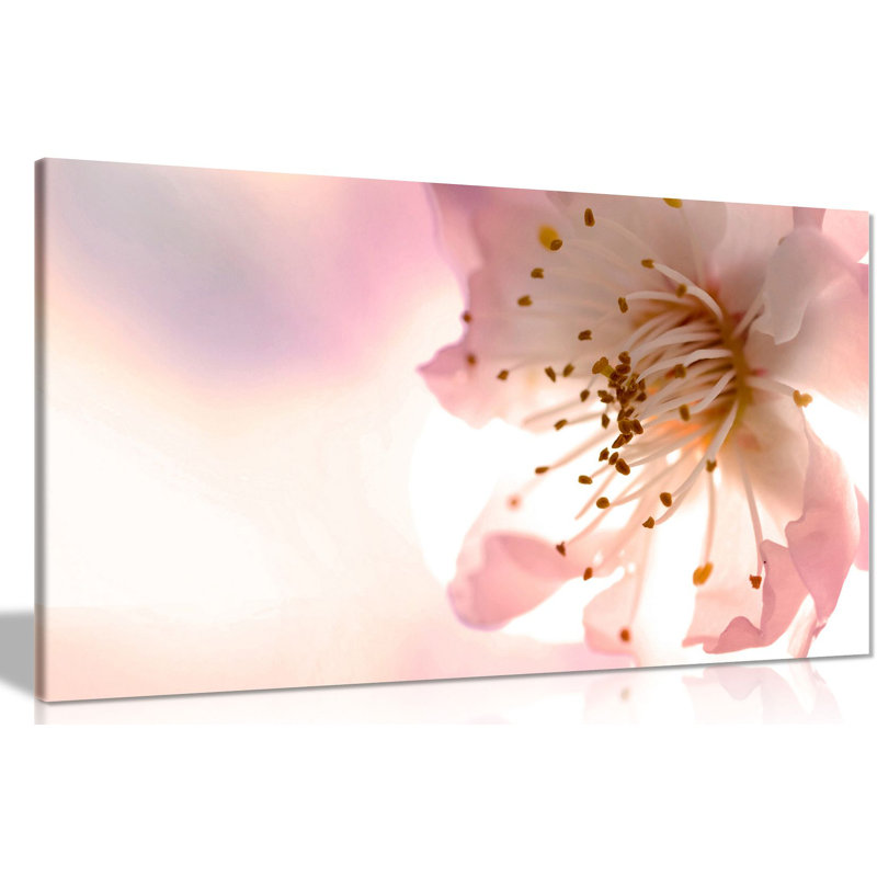 Pink Orchid - Wrapped Canvas Print