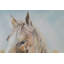 Hand-painted acrylic painting Blooming Freedom