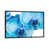 Black Floater Frame selected