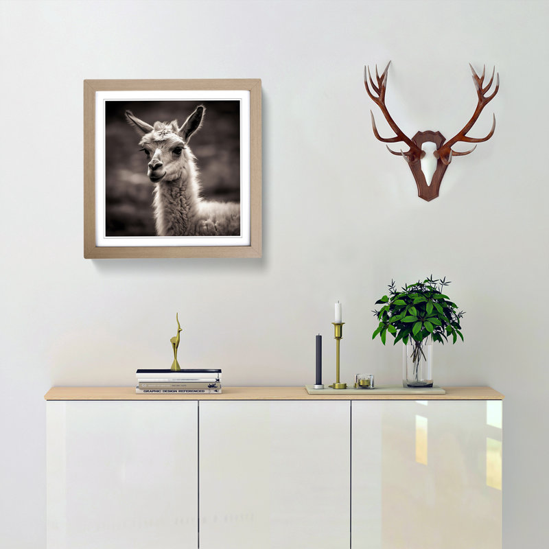 Llama Photograph - Framed Print, Oak