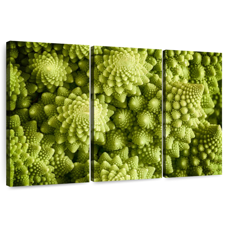 Broccoli Yarlin Fresh Romanesco, H 24 po x l 38 po