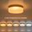 Modern 5Cct Led Flush Mount Ceiling Light