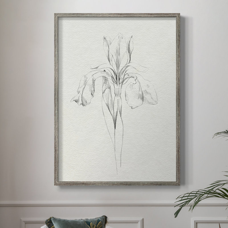 «Neutral Iris S croquis I», reproduction encadrée - bois massif