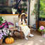 Chaise berçante simple en aluminium Balcon Casual-942539066