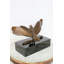 Sculpture Nifao Majestic American Eagle en bronze avec bouclier - fonte à la cire perdue, finition patinée classique, montée sur une base en marbre - symbole de force, de liberté, de patriotisme et d'honneur 20 x 8 po x 14 po