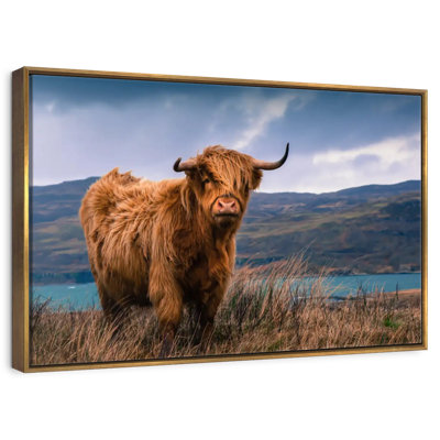 Grande vache Highland