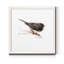 Mixed signaux IV-reproduction d’art sur toile encadrée-1965343847-1965343868