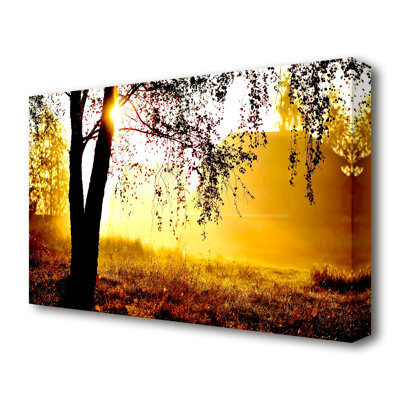 Sunlight Through The Tree Forest - No Frame Print on Canvas