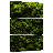 " Thick Moss " 3 - Pieces-97913034