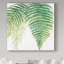 Ferns III Square by Chris Paschke - Wrapped Canvas Print-31872406