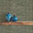 Atomic Weave - Olive Slate Wallpaper