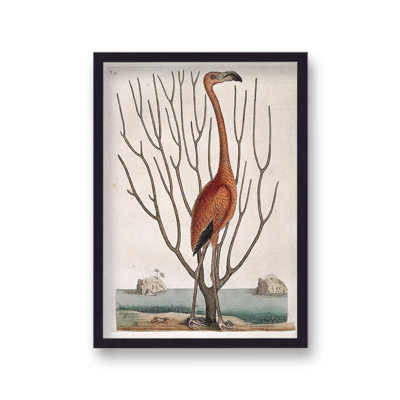 The Lone Flamingo by Vouvart - Single Picture Frame Print