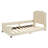 Twin Daybed In Beige With Enchanting Classic Stripe Headboard - And Wood Frame For A Stylish Bedroom Delightful Construction-1722768501
