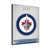Winnipeg Jets