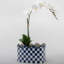 Handmade Planter
