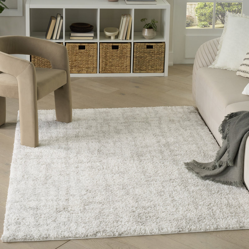 Tapis d'intérieur gris 17 stories Teiarra, Rectangle 3 pi 11 po x 5 pi 11 po
