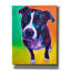 «Pit Bull - Truman» par Dawg Painter-1371513179