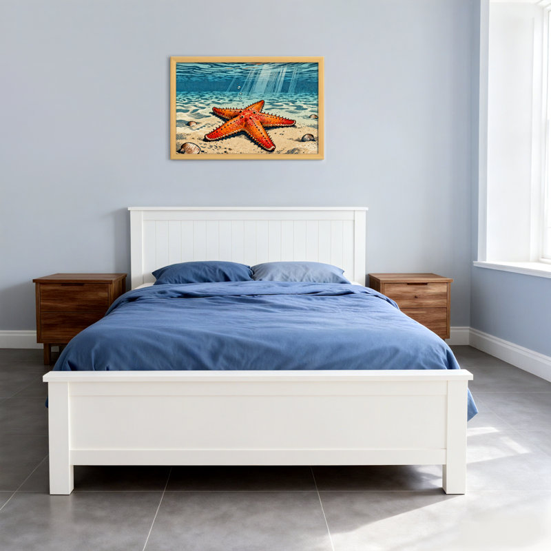 Animal étoile de mer sur fond de sable avec coquillages, H 16 po x l 24 po, Toile tendue, Ne s’applique pas