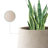 Laihla Pot Planter-1171178245-1171178246