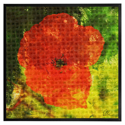 Single Picture Frame Print