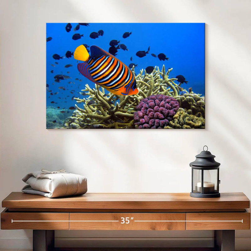 Brampt Royal Angelfish, 16" H x 24" W
