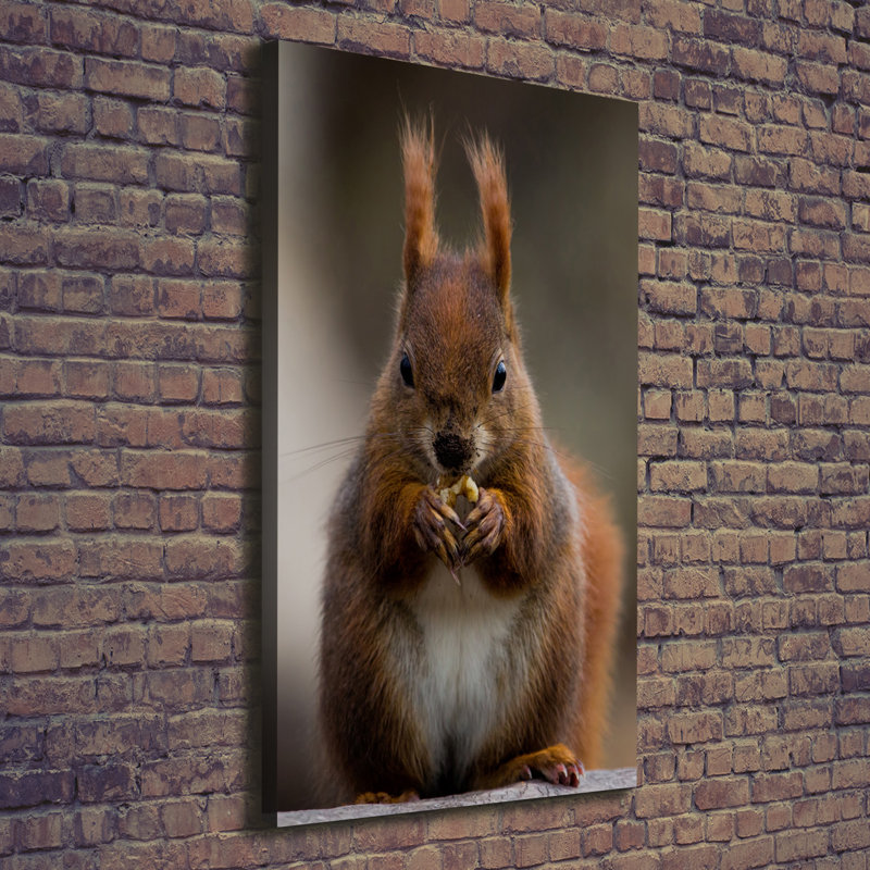 Squirrel - Wrapped Canvas Print