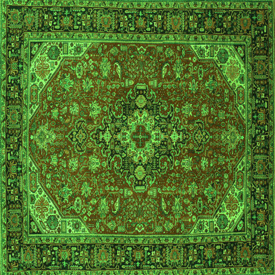 Amandalee Performance Oriental Indoor Rug