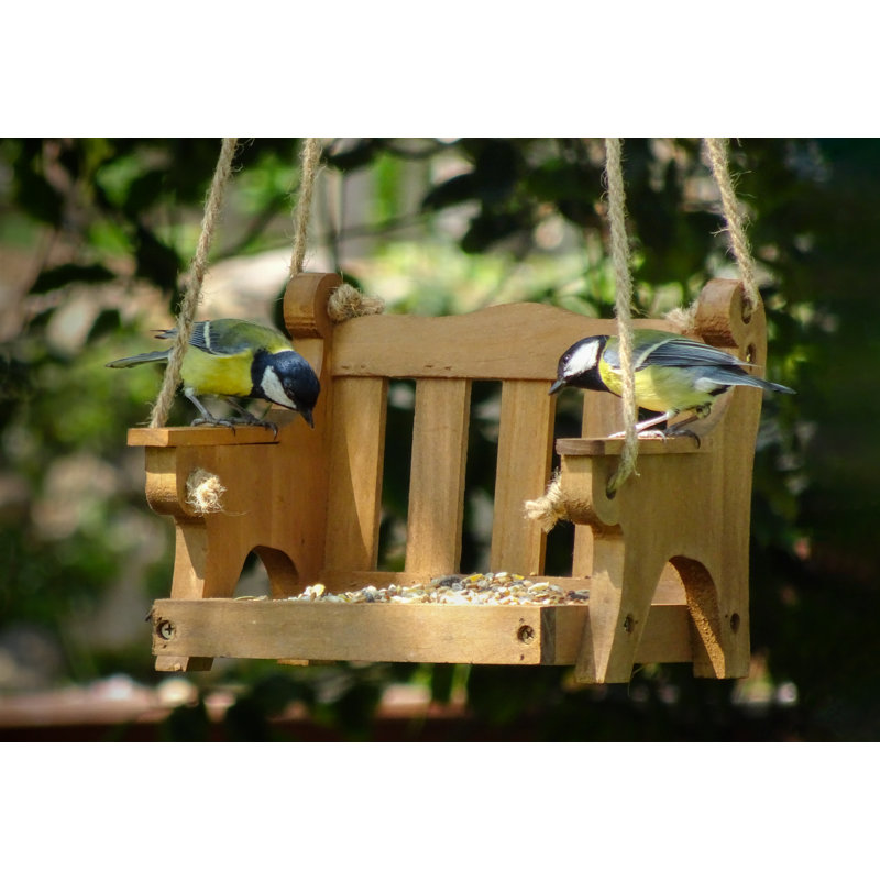 Mangeoire d’oiseaux à plateau pivotant Baird