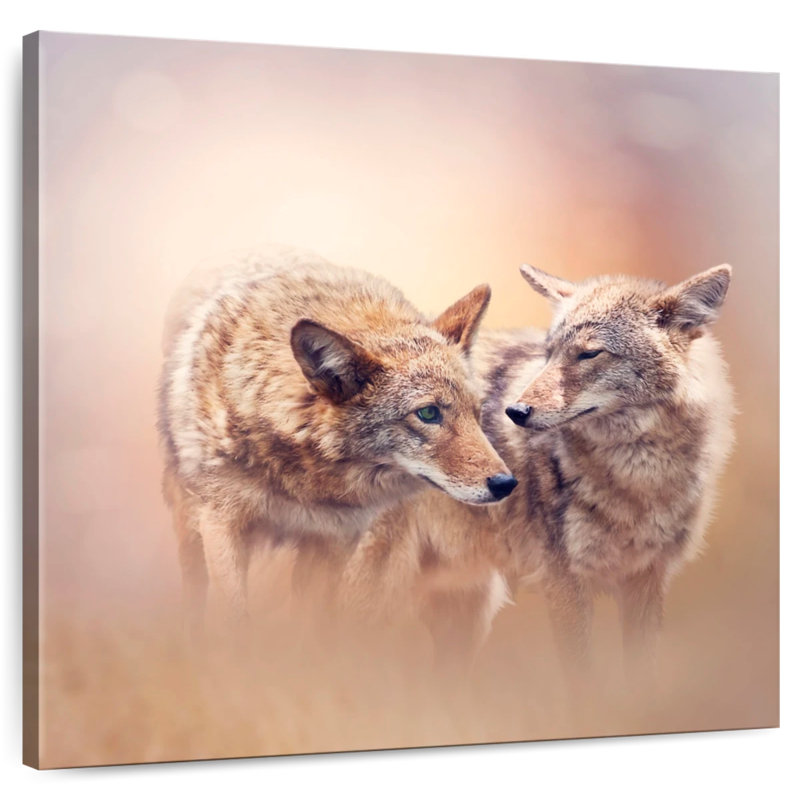 Crowle Dreamy Coyotes, 16" H x 16" W