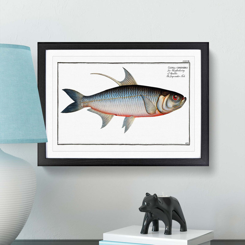 Deep-water Fish by M.E. Bloch - Picture Frame Painting Print, Black Framed, 27cm H x 36cm W x 2cm D