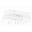Levin Solid Wood Daybed with Trundle