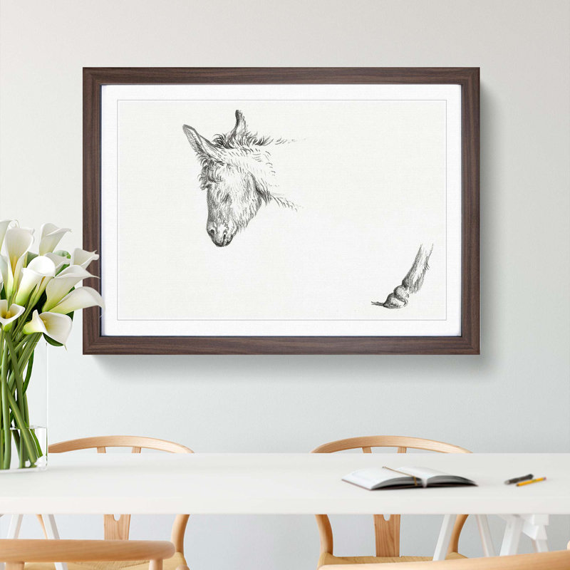 Sketch of a Donkey by Jean Bernard - Picture Frame Drawing Print on MDF, Walnut Framed, 48cm H x 65cm W x 2cm D