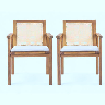 Patio Dining Chairs Set of 2 with soft Cushion