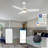Eleanar 48'' Ceiling Fan with LED Lights