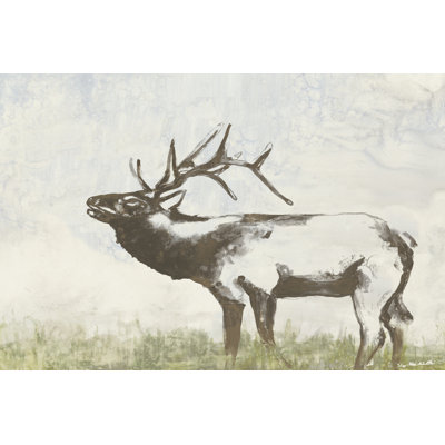 Wild Call I by Jennifer Goldberger - Wrapped Canvas Art Prints