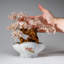 Genuine Rose Quartz Gemstone Bonsai Tree in Oval Ceramic Pot (8")