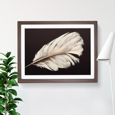 Bird Feather - Single Picture Frame Print