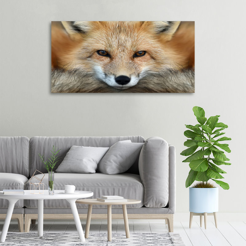 Fox - Wrapped Canvas Print, Canvas, 50cm H x 100cm W