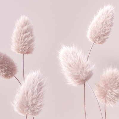 Achicam " Floral 3D Rendering "