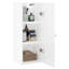 Aaryash Bathroom Cabinet-858015456