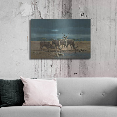 " Greater Kudus " by Harro Maass