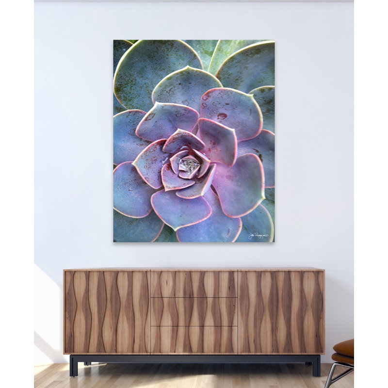 Succulent Center 2 Print by Joe Ruggiero